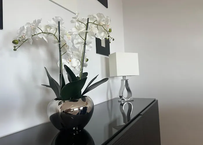 H&f View * フンシャル